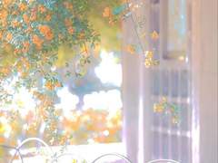 한 여름밤의 꿈처럼 사라질 사랑