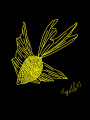 물고기 이용하기