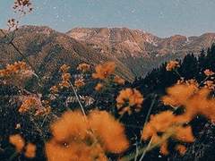 그러니, 친애하는 나의 구원에게