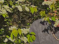 [NCT] 저승에서 온 수호신