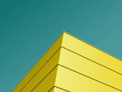 물빛, 해바라기, 꽃잎 -10 (clean ver.)