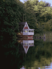 깊은 바다 어딘가.