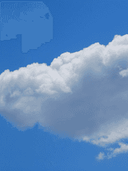 겨울에도 꽃이 핀다