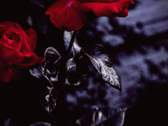 1920년대 조선 AU, 8232자, 중간까지 공개