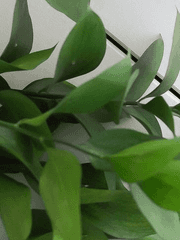 기울어진 모래시계 - 에드가