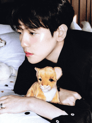 앙큼한 반인반수