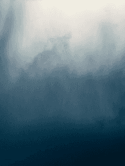 Venture Capital Investment