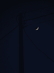 우리 결혼했어요 (상황문답)