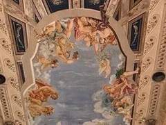 히메카와 히메카 女 17