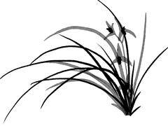 [사래커 프로필]