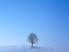 1화_自覺夢(자각몽)