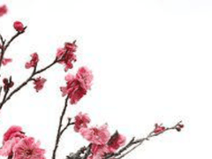 나츠나기 호시야 / 남성