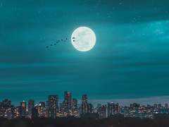 缺乏을 이해하는 자