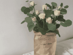 강해솔 [姜解蟀] / XX