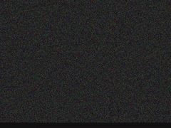 어두워진 작은 세계속에서