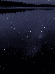 센 이야기, 그리고 친구들 이야기