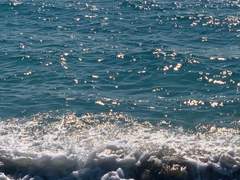 물 만난 물고기