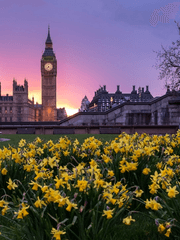 제국의 하나뿐인 악녀가 공작의 부인이 되었습니다