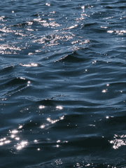 아주 거대한 삶