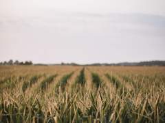 [라이트/여행] 1차, It’s hunting season (2p)