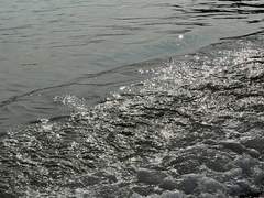 첫 이별 거두기