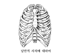 낭만적 사치에 대하여