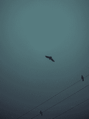 구름에 실어 나르리