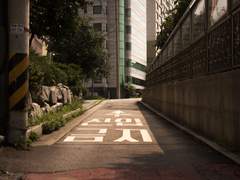 솔부 백상의 세레나데