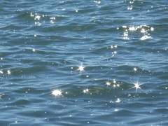 물결이 흩어질 때