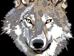 Diarus Conner ° 후플푸프