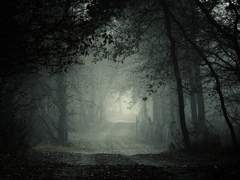 오디우스 / 서양