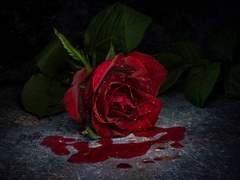 Je serai poete et toi poesie