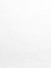 문스독 <백색 시대>