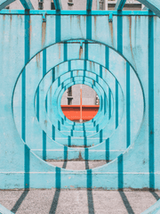 자색과 시간의 왈츠 