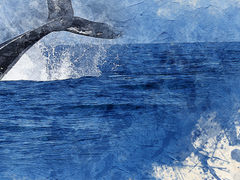 《𝕹𝖚𝖉𝖟𝖍𝖊𝖉 𝕭𝖑𝖚𝖊𝖘𝖙𝖔𝖓𝖊》 상세페이지