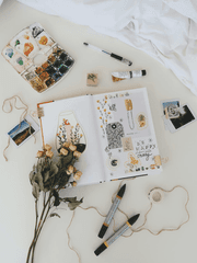 𝖢𝖮𝖬𝖬𝖨𝖲𝖲𝖨𝖮𝖭