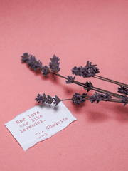 이젠 없는 당신에게