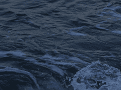 滿月-금빛 파랑(波浪)(2)