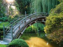 (닌자고)당신을 만나러 가는 길