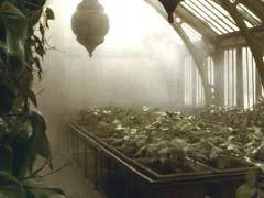 빛을 잃은 들판에서도