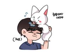 버미호와 처음 마주한 하루