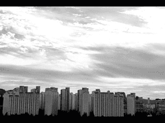 [아름다움과 진실된 마음]