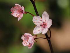 돌발이벤트 상품