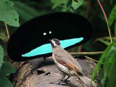 [준호민우] 너구나, 8반 이쁜이가.