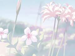 우에하라 유메리/XX/24