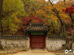 여우의 꼬리처럼 해가 짧아지면