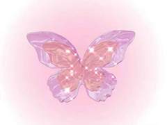 [ 페퍼 화이트 ] - 프로필