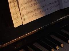 [ 현 은재 / XX / 2학년 ]