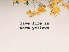 ⭐️후회같은건 하지 않도록