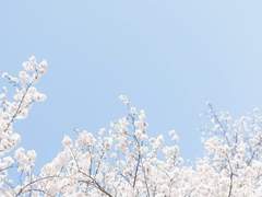 [아지랑이] 松田 りりか☁️